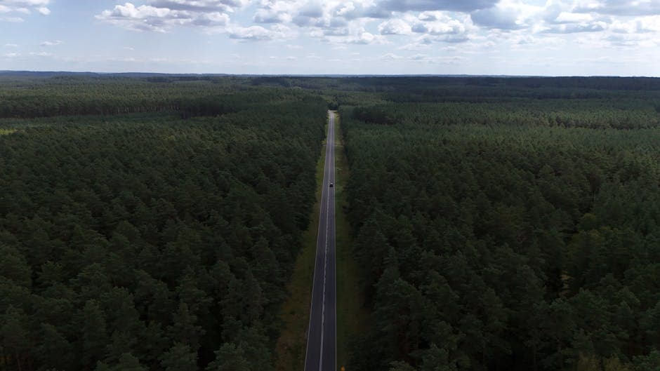 Innoviz despega: nuevo contrato de LiDAR impulsa la acción previo a resultados del Q1