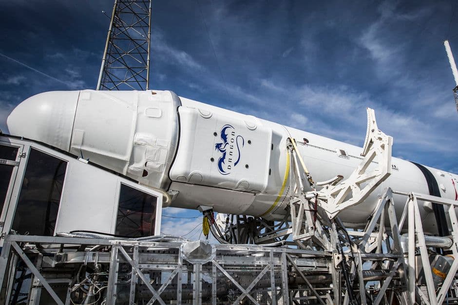 SpaceX alcanza valoración récord de 250.000 millones tras fijar precio de acción en 135 dólares
