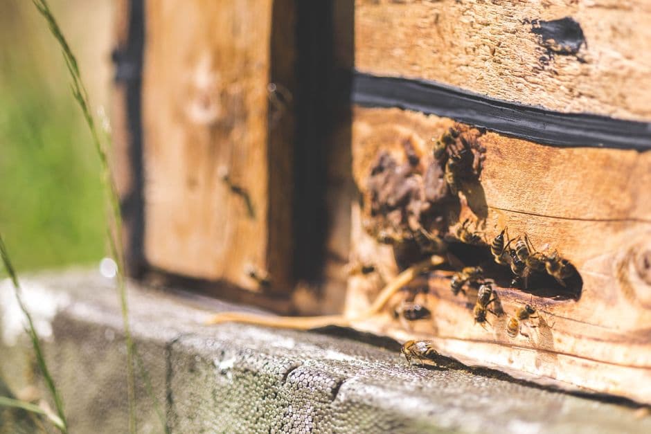 Acciones de Hive suben un 15% tras activar su primer centro minero con IA en Paraguay
