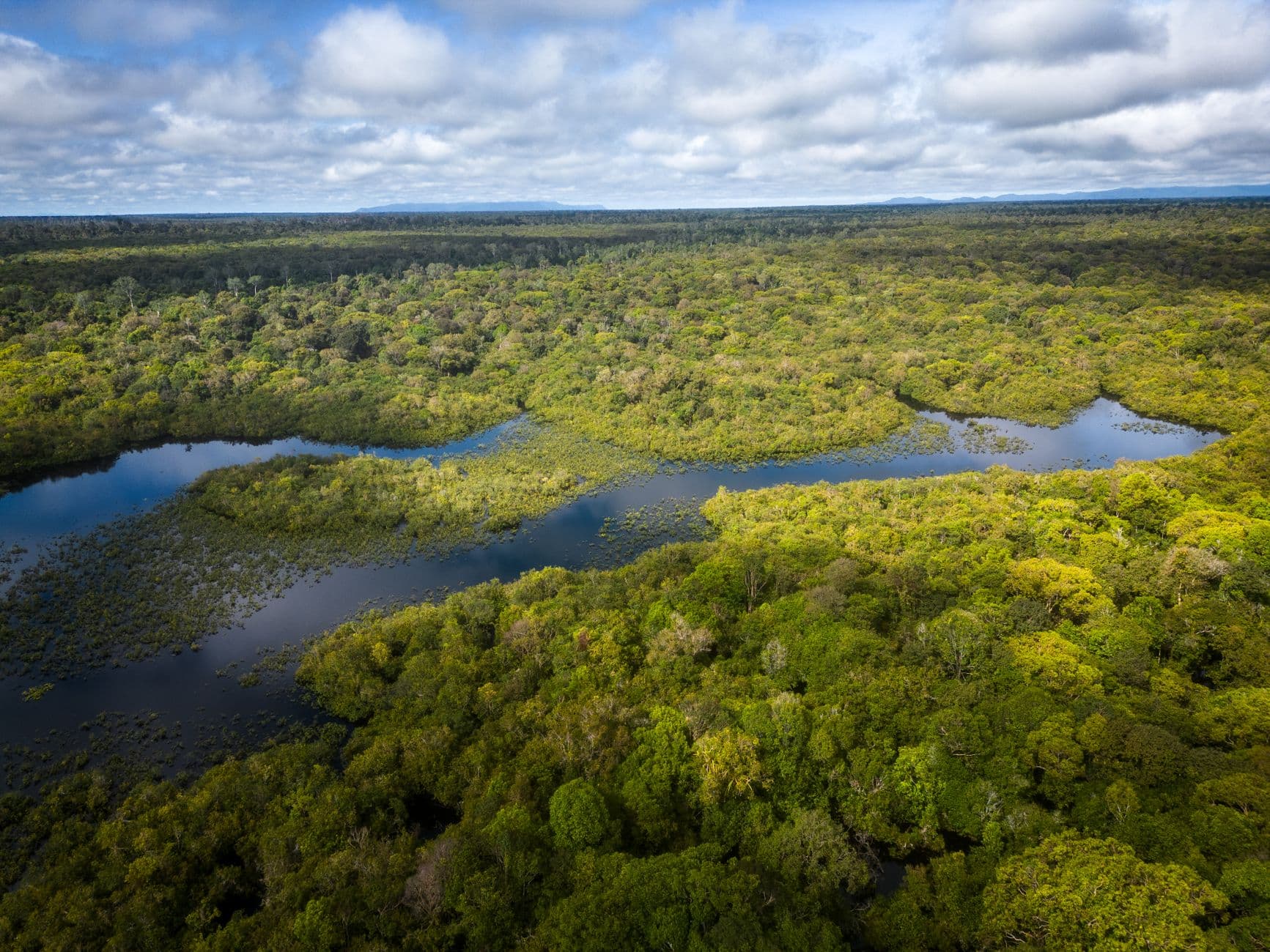 La apuesta nuclear de X-energy: el riesgo y la recompensa de alimentar a Amazon