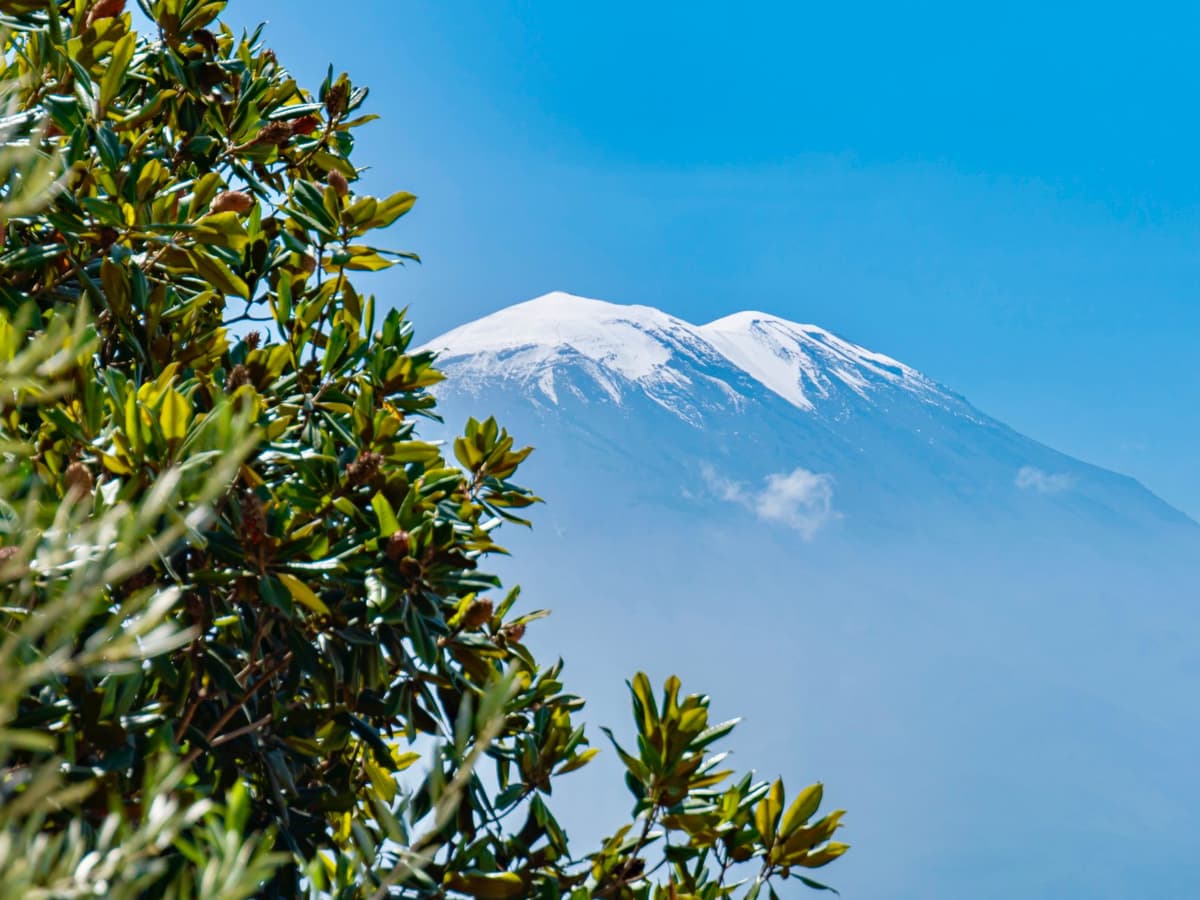 La apuesta de Qilimanjaro por la soberanía cuántica española
