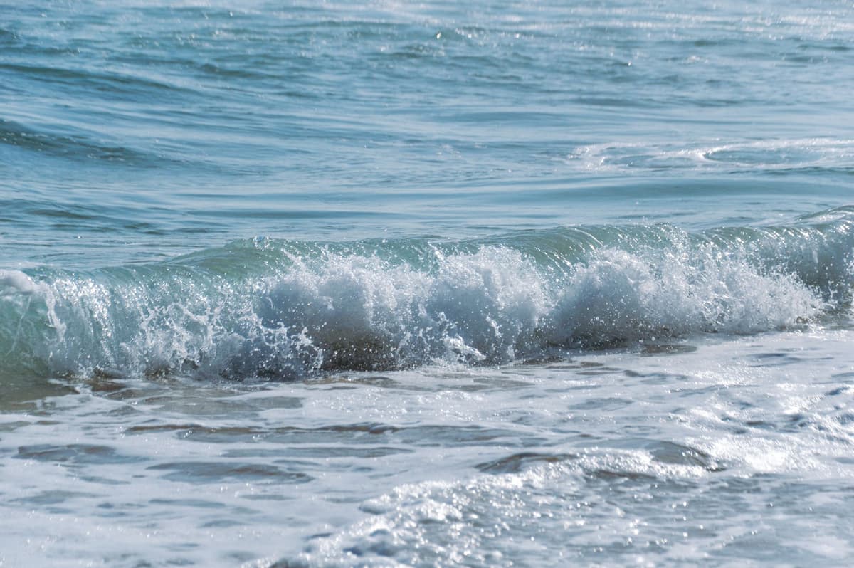 La apuesta binaria de D-Wave ante la dilución cuántica
